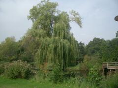 Kurpark in Bad Bevensen